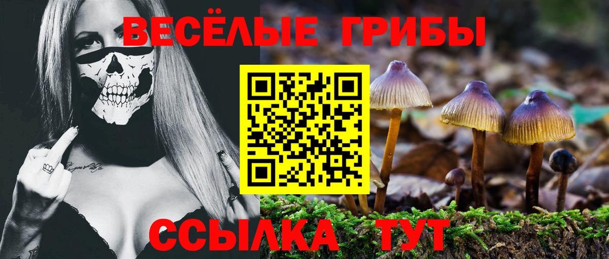Псилоцибиновые грибы Psilocybine cubensis  Вход с VPN  купить  цена  Уварово  Галлюциногенные грибы Psilocybine cubensis 